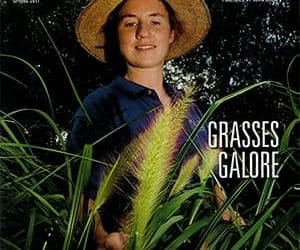 Homestead magazine cover